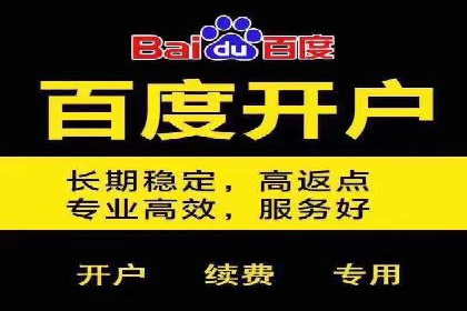 打造品牌影响力：百度竞价代理实战案例精选